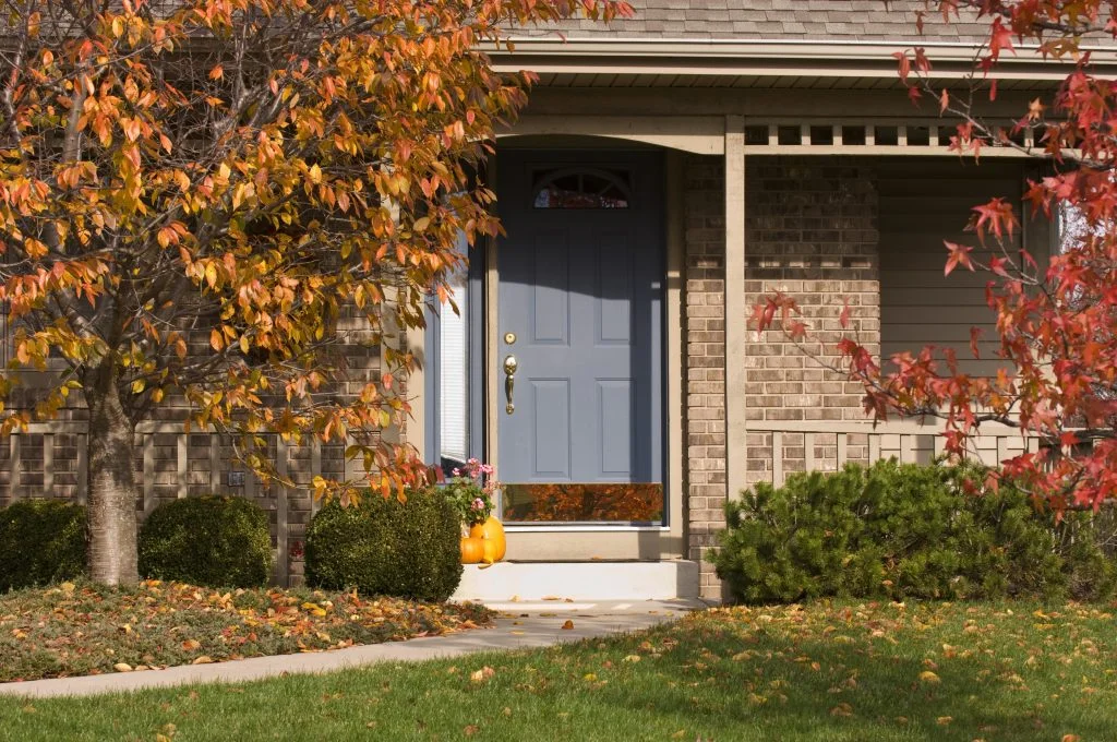 A house with a garden surrounded by bushes and trees under the sunlight in the autumn