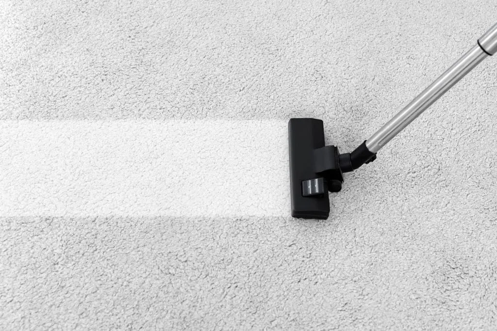 how to get smoke out of house clean carpet