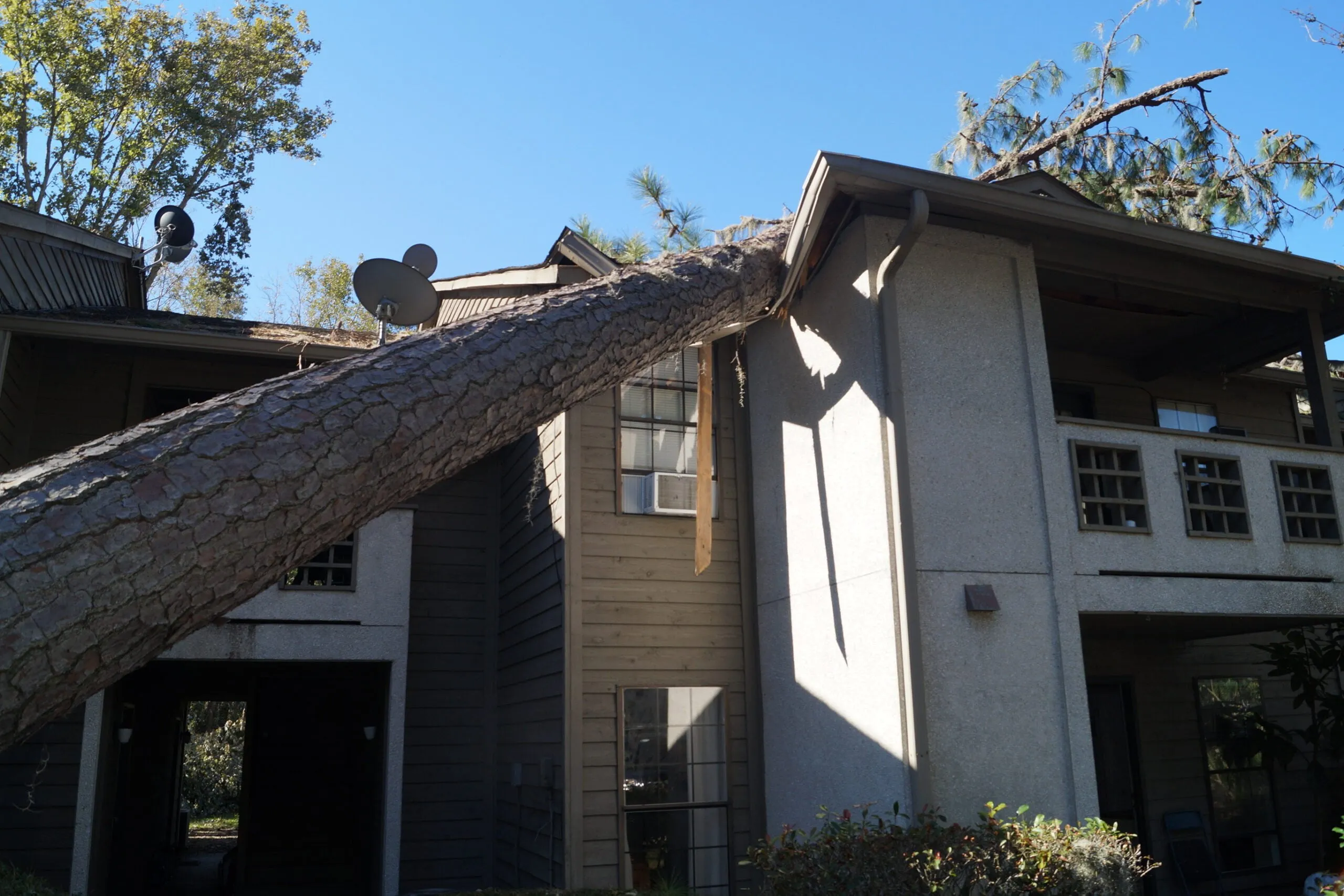 tree fell on house